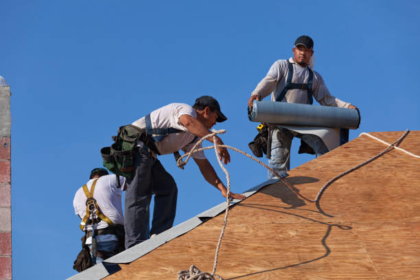 Best Residential Roofing Contractor  in Nashville, GA