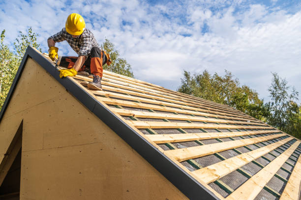 Best Roof Gutter Cleaning  in Nashville, GA